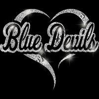 GLT77 SILVER GLITTER Thumbnail