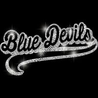 GLT78 SILVER GLITTER Thumbnail