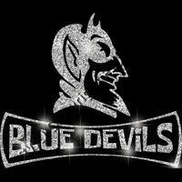 GLT94 SILVER GLITTER Thumbnail