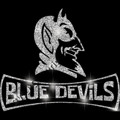 GLT94 SILVER GLITTER Thumbnail